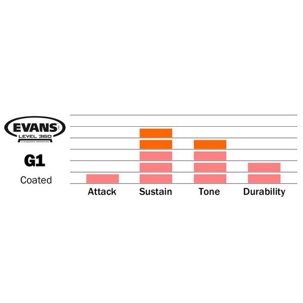 Evans G1 Studio Set Coated
