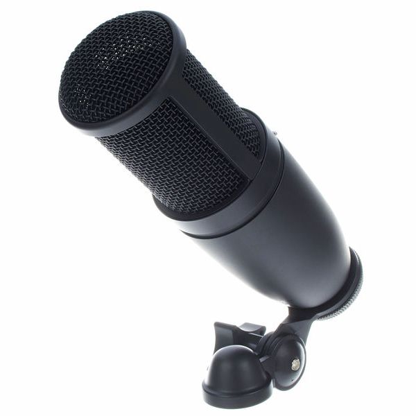 AKG P120 Microfono a Condensatore Professionale da Studio Canto 