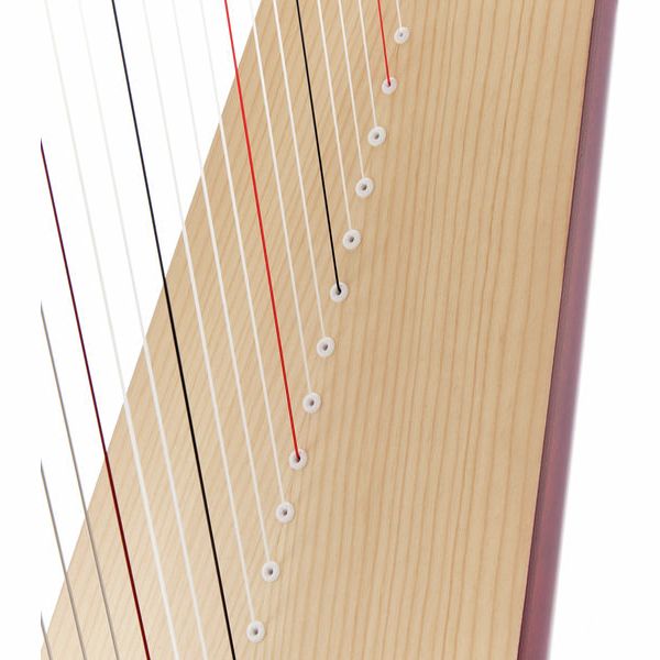 Salvi SALTIT-MSS Titan Mahogany