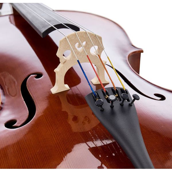 Gewa Maestro 6 Cello 7/8