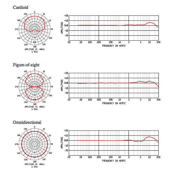 CAD Audio E300S