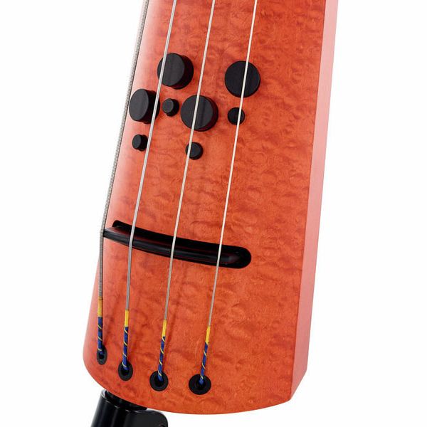 NS Design CR4M-DB Quilted Maple Bass