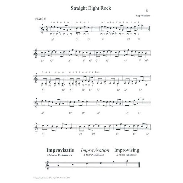 Broekmans & Van Poppel Basic Go for Guitar Thomann United States