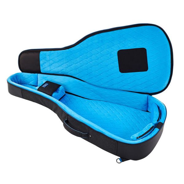 reunion blues dreadnought guitar case