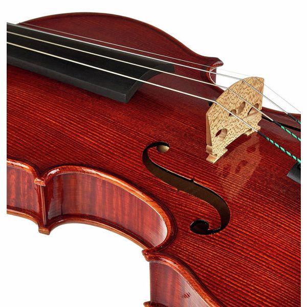 Rainer W. Leonhardt No. 100/2 Master Violin 4/4 Thomann Sverige