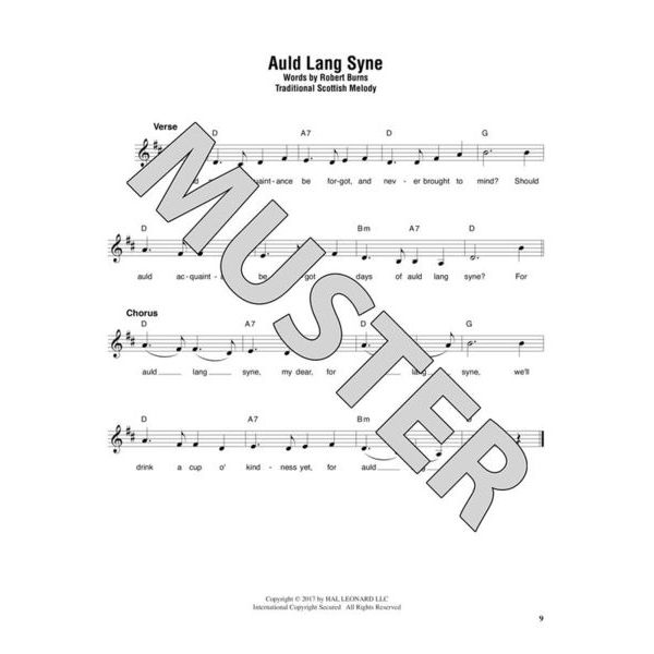 Hal Leonard Strum Together Celtic Songs