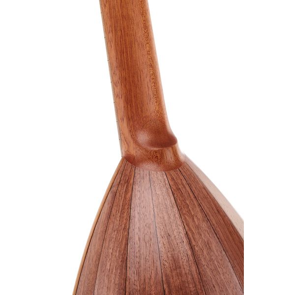 Thomann Lute Guitar Walnut Steel Str. Thomann France