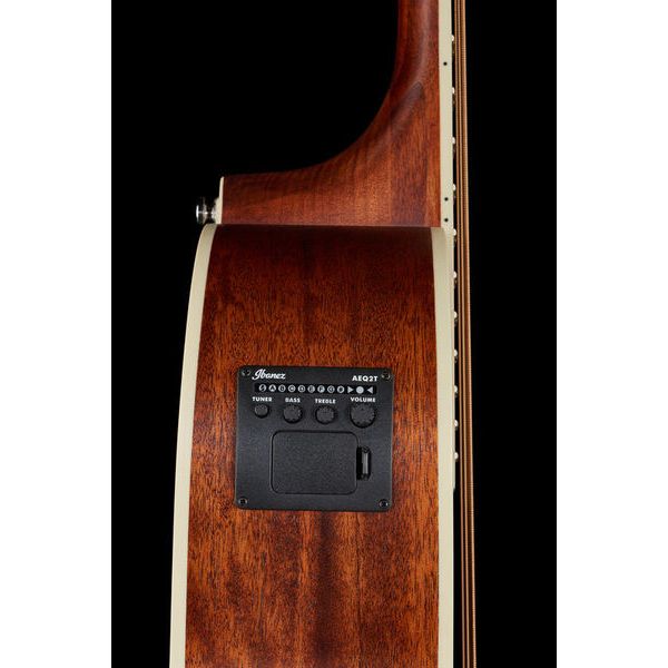 Ibanez PNB14E-OPN Acoustic Bass