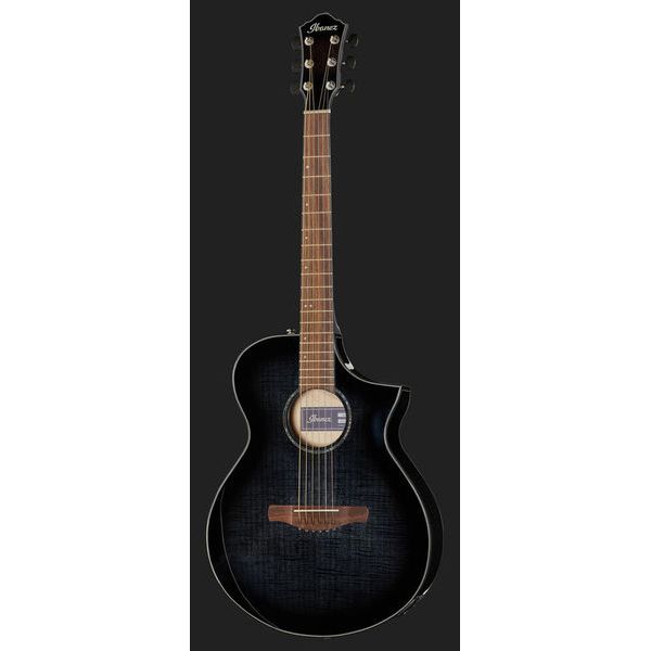 15900円新作販売 驚くべき価格 TAKUYAN様専用 ibanez AEWC-400