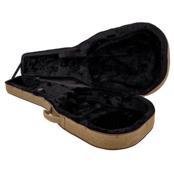 ibanez acoustic guitar case