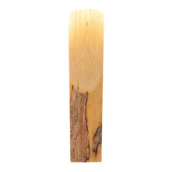 Alexander Reeds NY Soprano 2.0