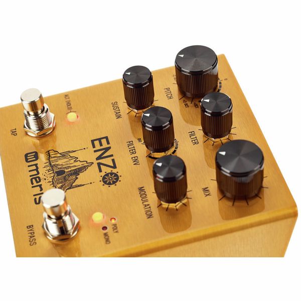 Meris Enzo Multi-Voice Synthesizer