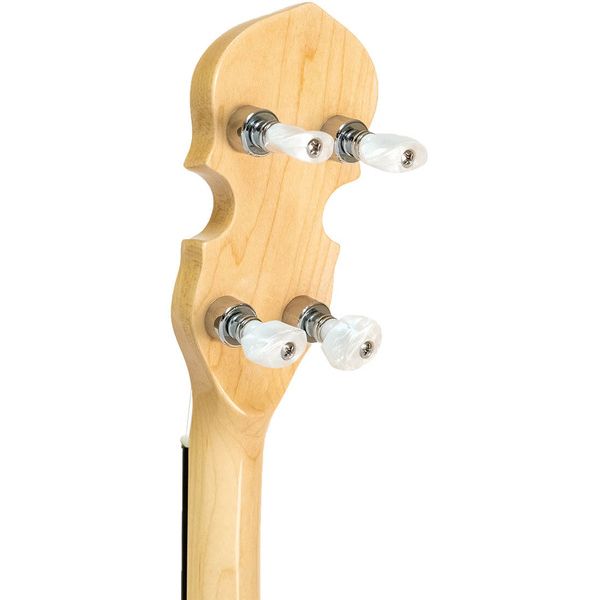 Gold Tone CC-100R 5 String Banjo