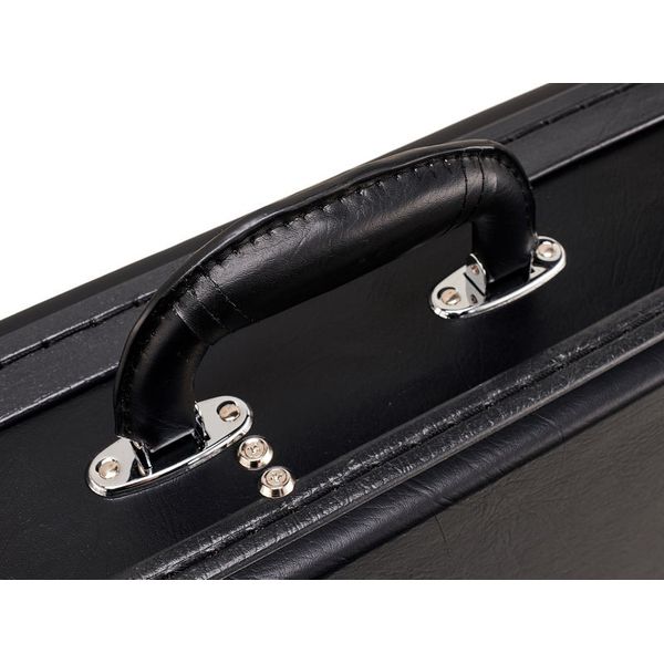 epiphone viola bass case