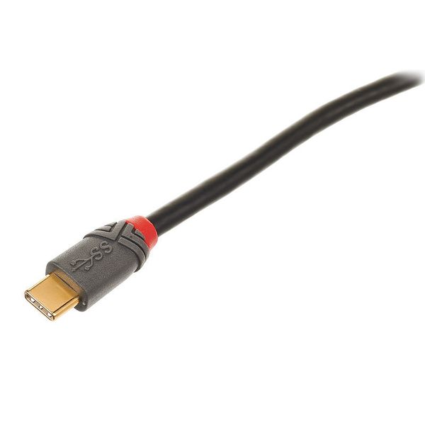 Lindy USB 3.1 Typ C Adapterkabel