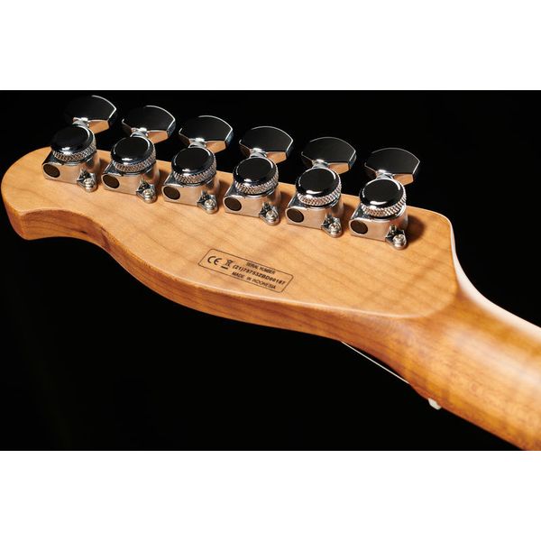 Harley Benton Fusion-T HH HT Roasted FNT