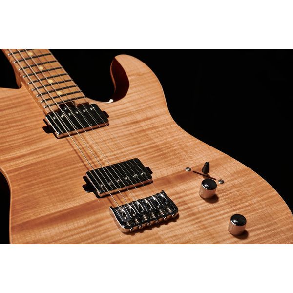 Harley Benton Fusion-T HH HT Roasted FNT