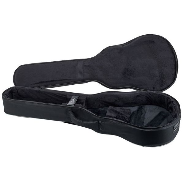 339 guitar case