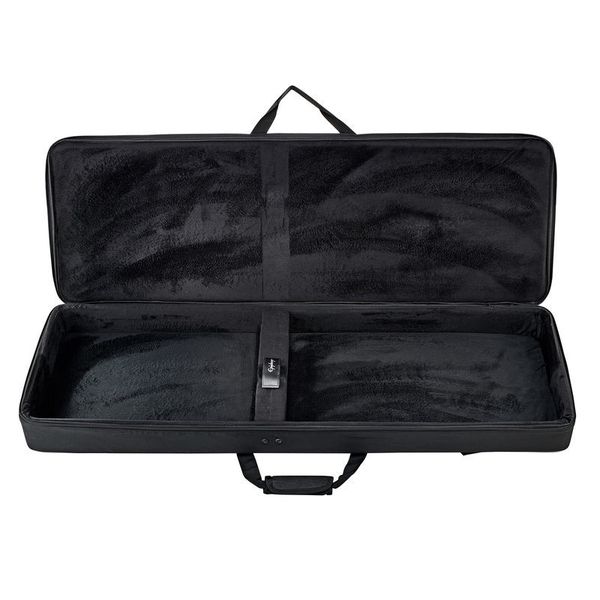 epiphone epilite explorer case