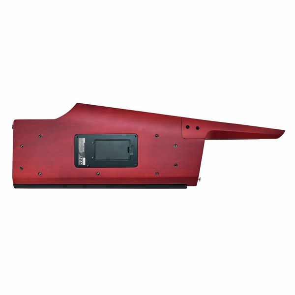 Korg RK-100S 2 Red