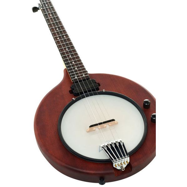 5 string electric banjo