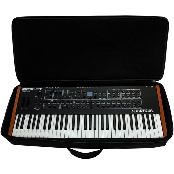 Analog Cases Sustain Case 49