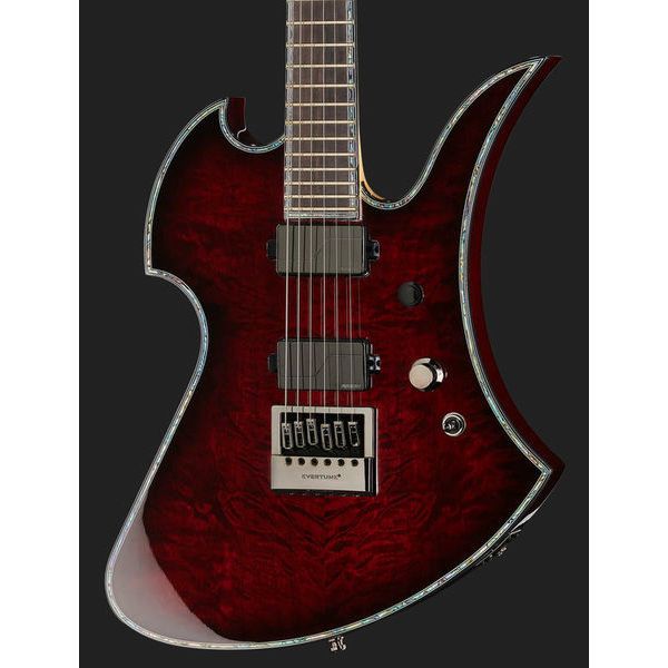 bc rich hummingbird