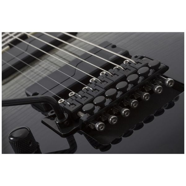 schecter guitars with fishman pickups