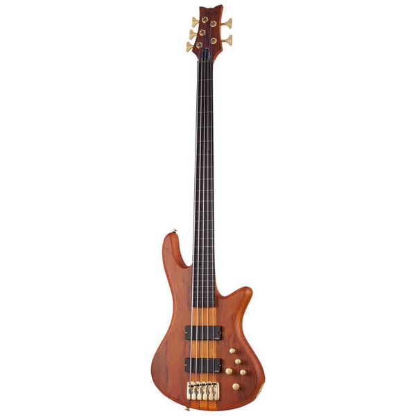 schecter 6 string fretless bass