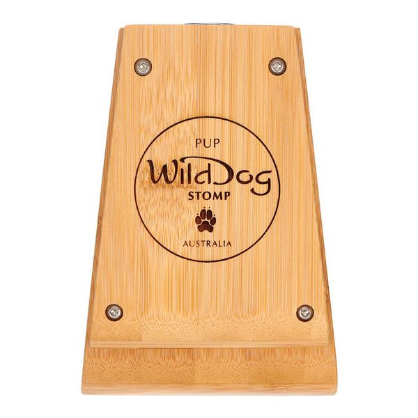 Wild Dog Pup