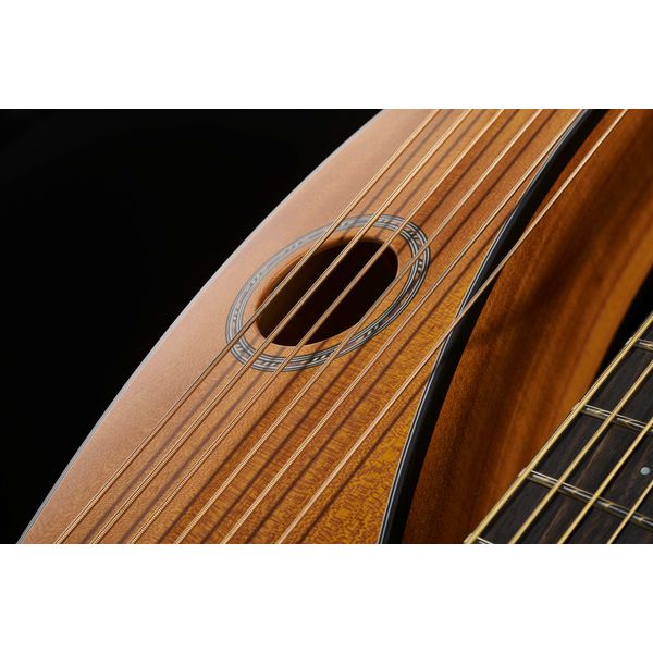Timberline Guitars T20HGpc Harp Guitar