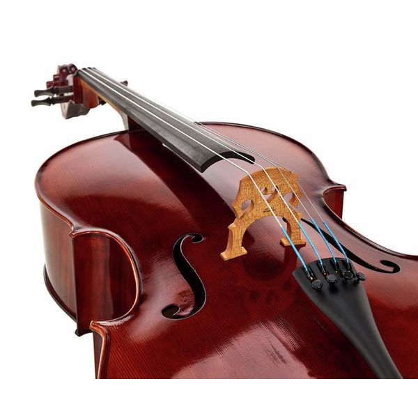 Conrad Götz Agape C428 AP Cello 4/4 – Thomann United States