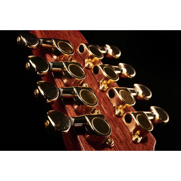 Gold Tone M-800+ Octave Mandoline