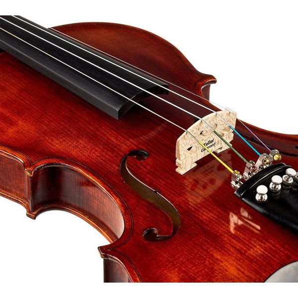 Roth & Junius Europe Antiqued Violin Set 4/4