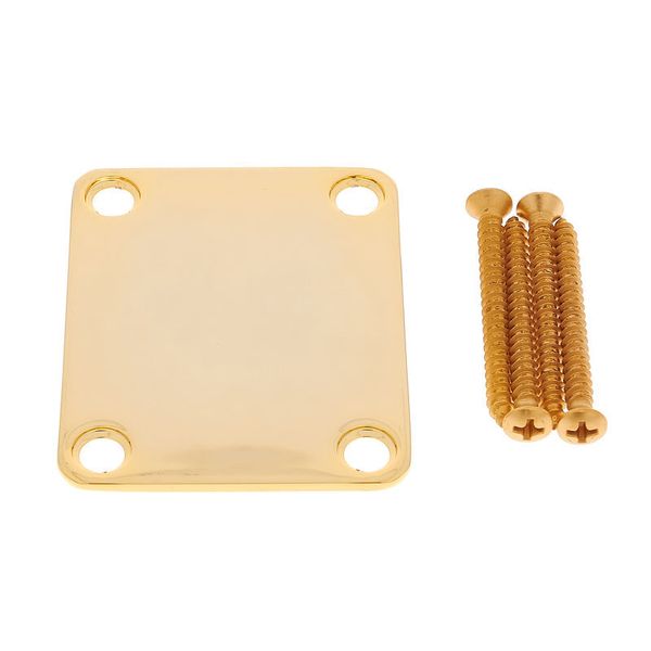 gold guitar neck plate