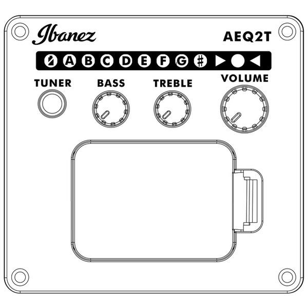 ibanez aeq2t