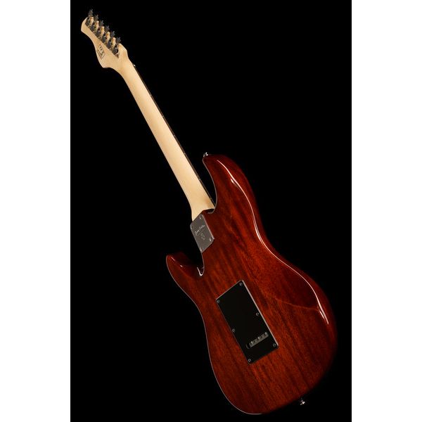 Larry Carlton S3 TS