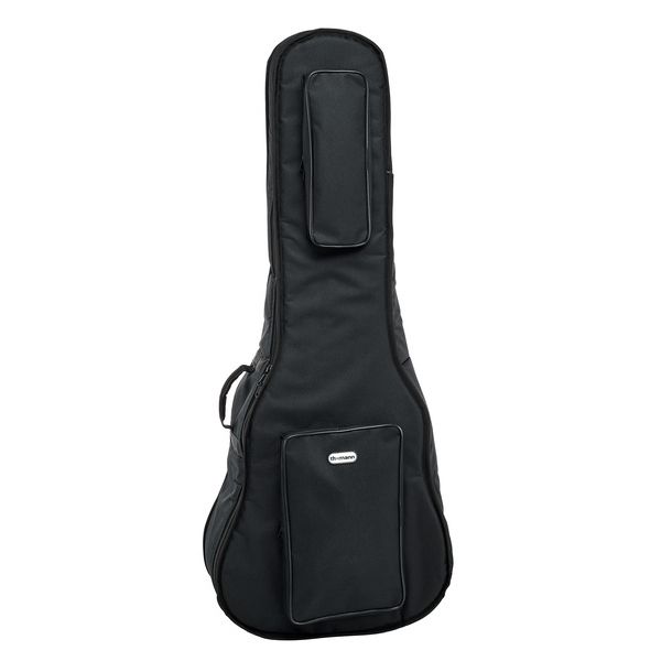 fender acoustic bass case