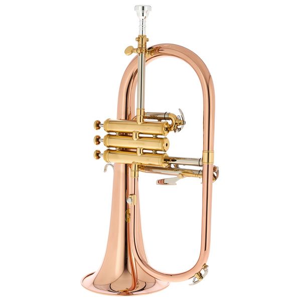 Thomann FH 600 G Bb-Flugelhorn Set – Thomann United States