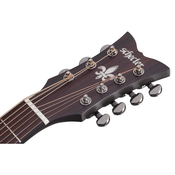 schecter acoustic bass