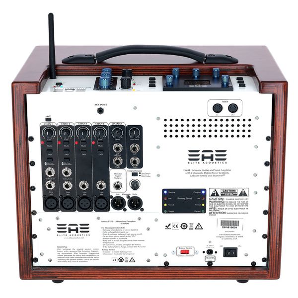 Elite Acoustics D6-58 Acoustic Amplifier Wood