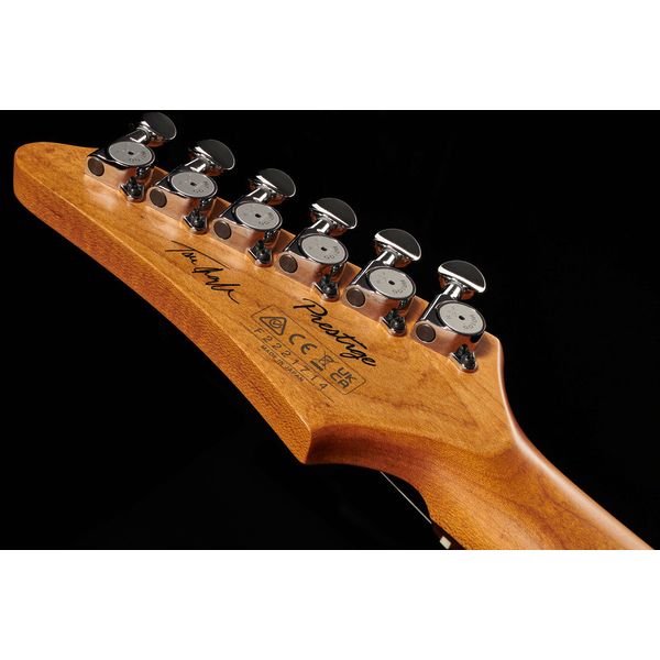 Ibanez TQMS1-CTB
