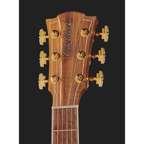 Cole Clark FLMGE-BLBL-AE Mastergrade