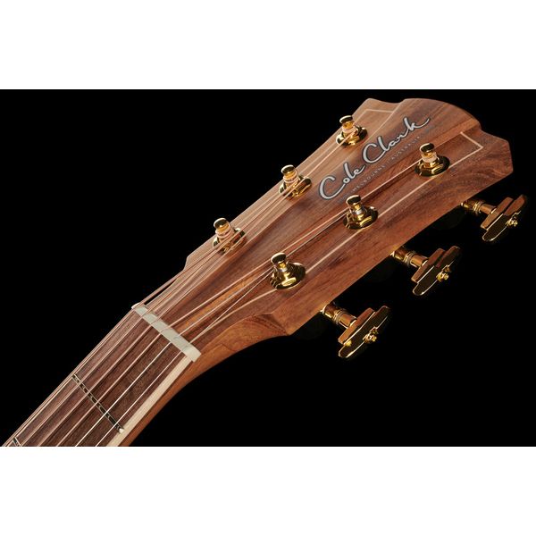 Cole Clark FLMGE-BLBL-AE Mastergrade