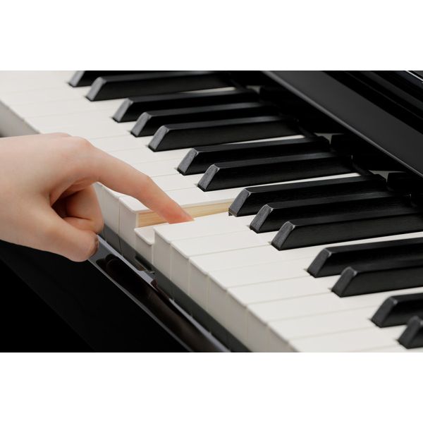Kawai CA-901 EP