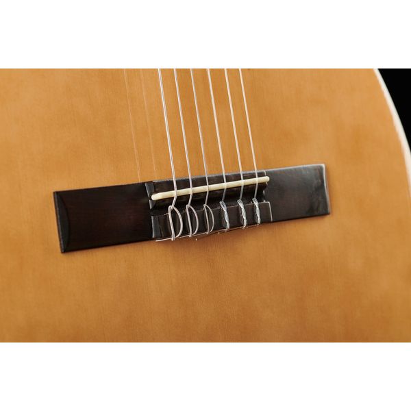 Thomann Classic 4/4 Guitar Bundle