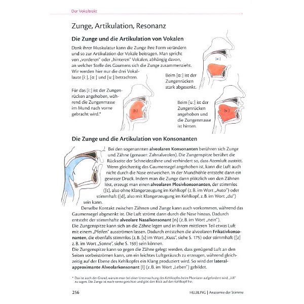 Helbling Verlag Anatomie der Stimme – Thomann United States