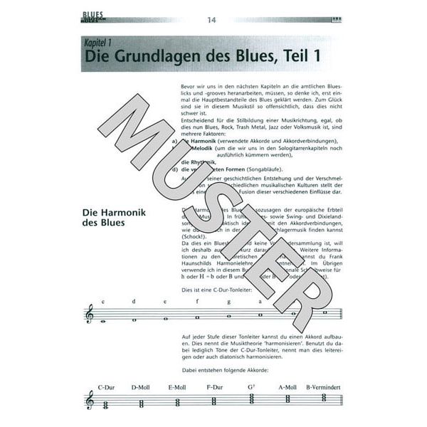 AMA Verlag Blues Guitar Rules