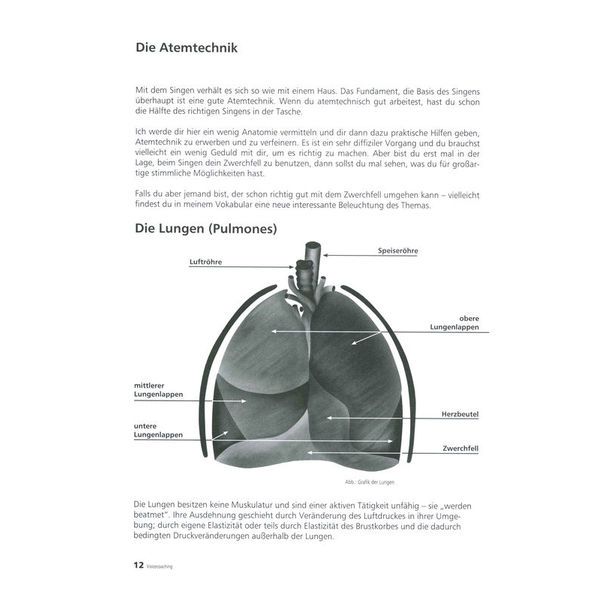 Voggenreiter Voicecoaching