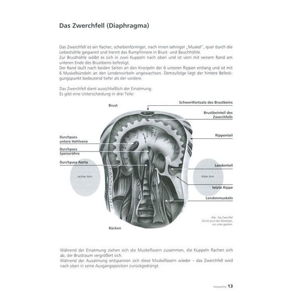 Voggenreiter Voicecoaching